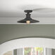 Aurora 1 Light 14 inch Weathered Pewter Semi-Flush Ceiling Light